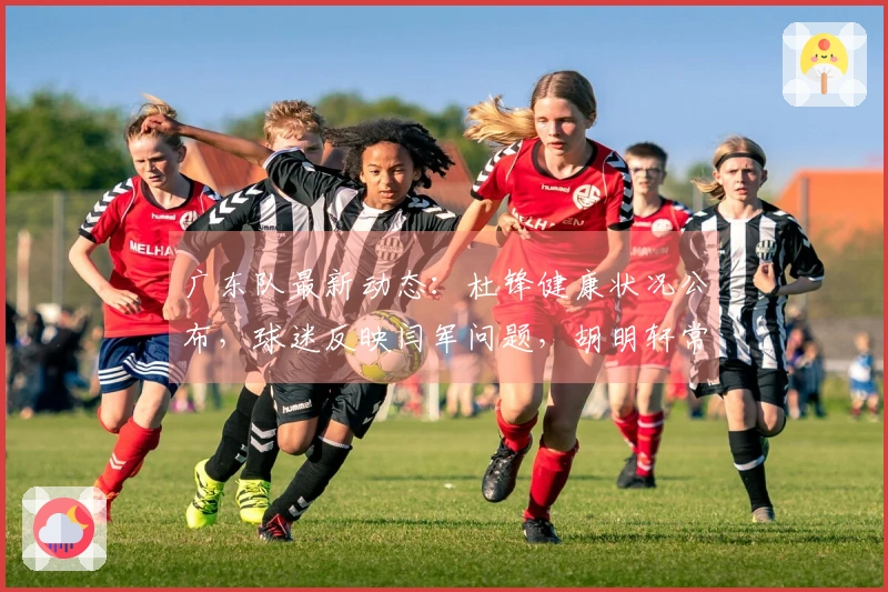 广东队最新动态：杜锋健康状况公布，球迷反映闫军问题，胡明轩常规赛缺席