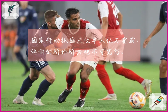 国家行动抓捕三位华人亿万富翁，他们的所作所为绝不可宽恕。